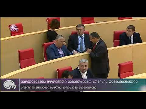 პარლამენტის დროებითი საგამოძიებო კომისია დამტკიცებულია